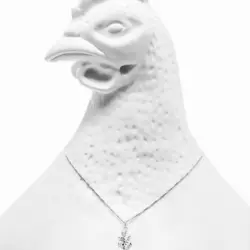 Chicken_14