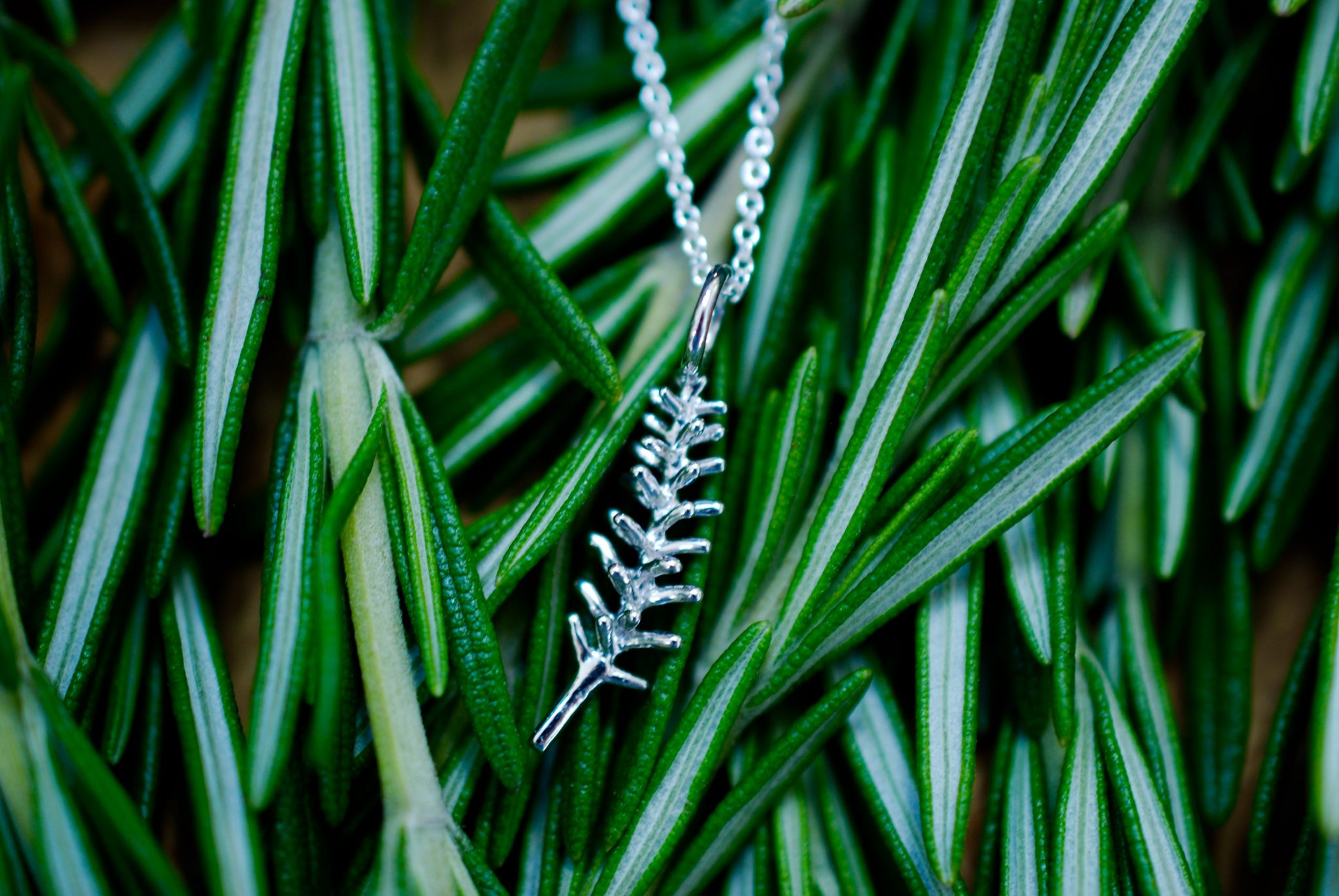 Rosemary Necklace, Sterling Silver Delicacies