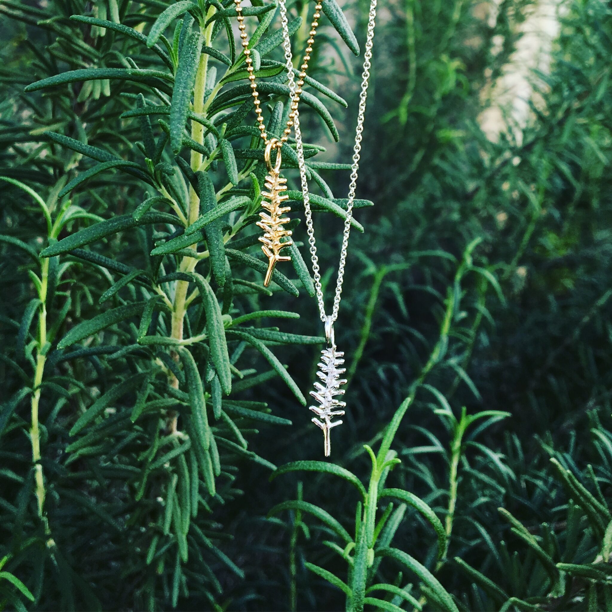 Rosemary Necklace, Sterling Silver Delicacies