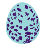 Terms and conditions 1