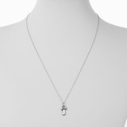 PORCINI_SILVER_FORM 2