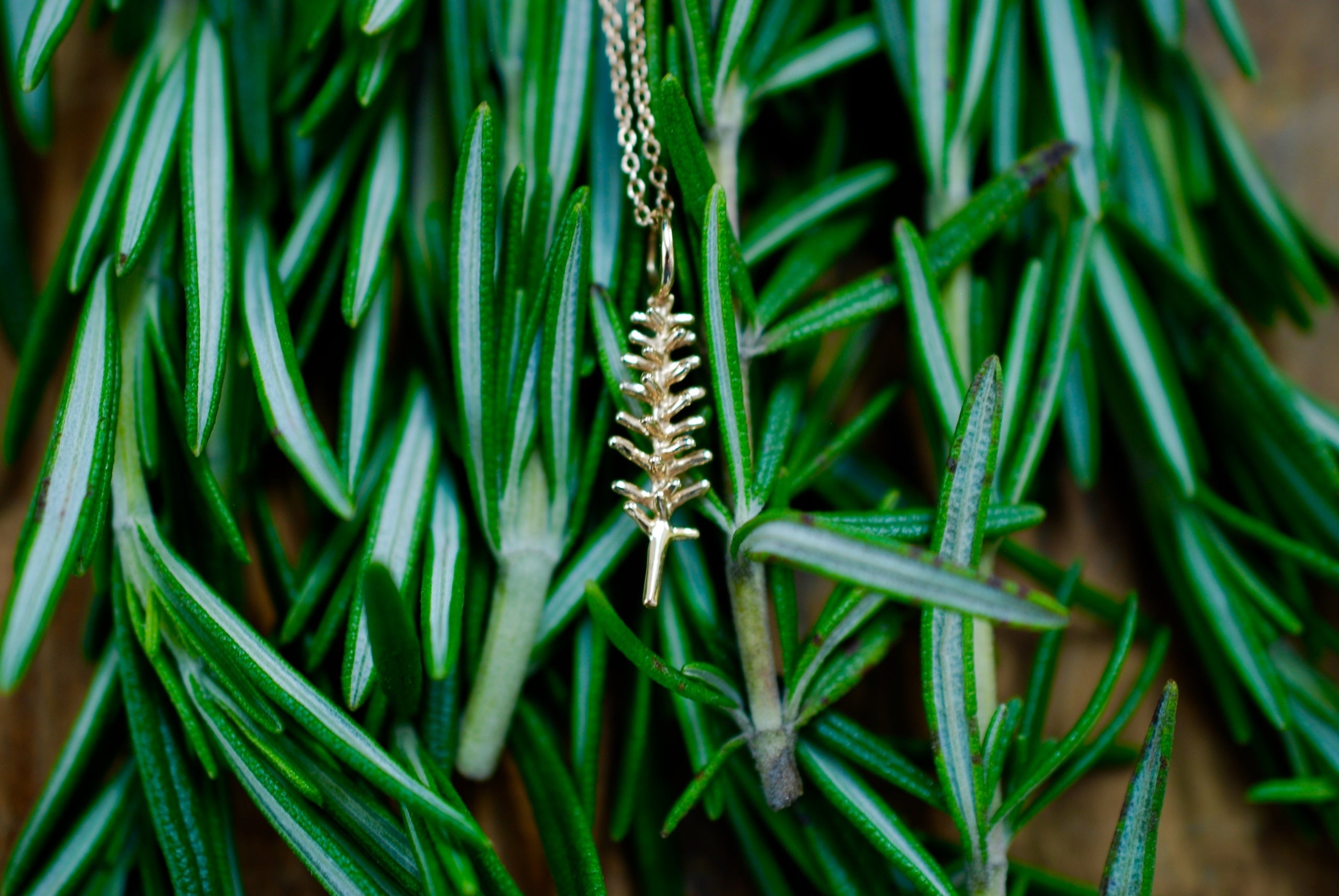 Rosemary Necklace