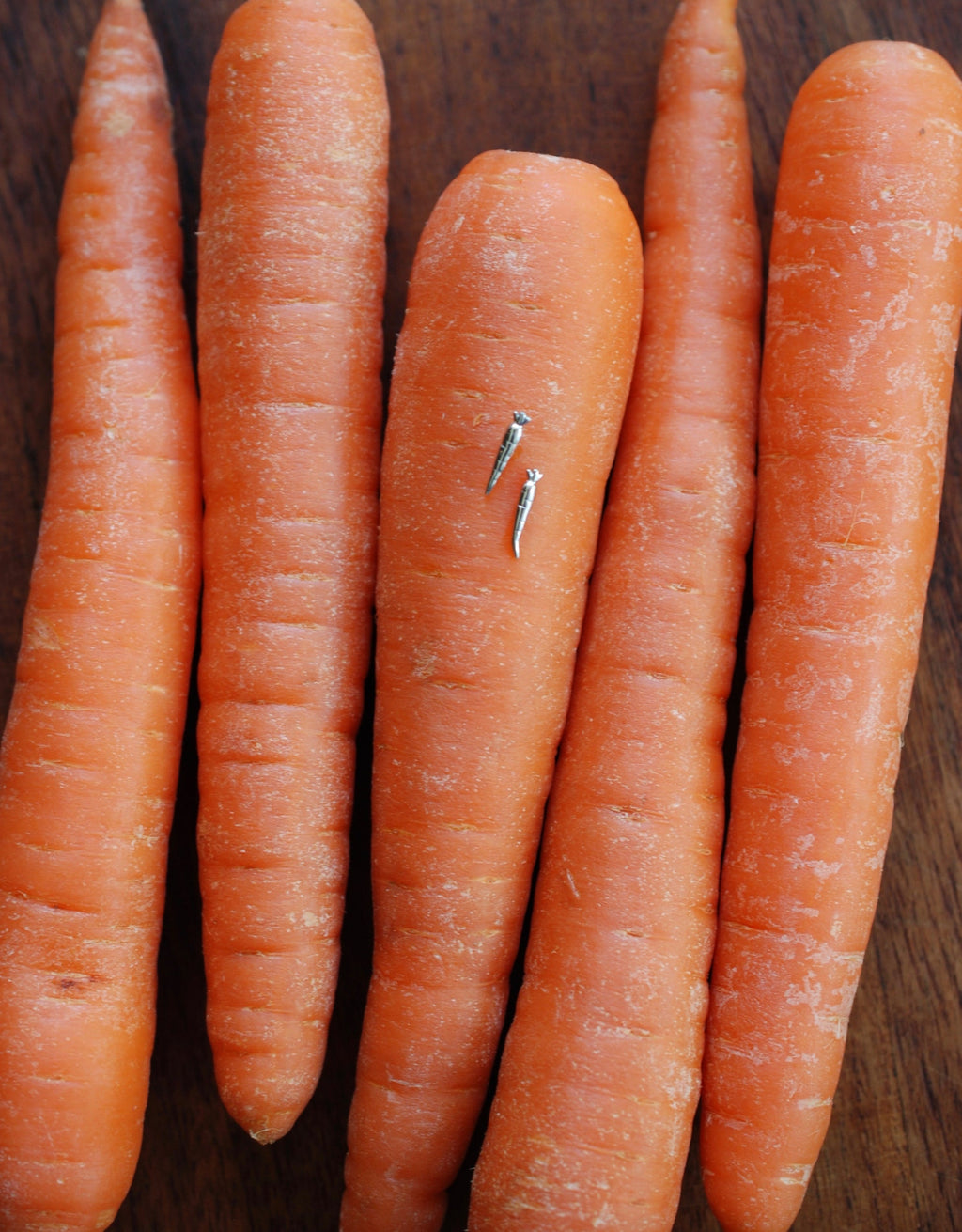 Carrot Earrings