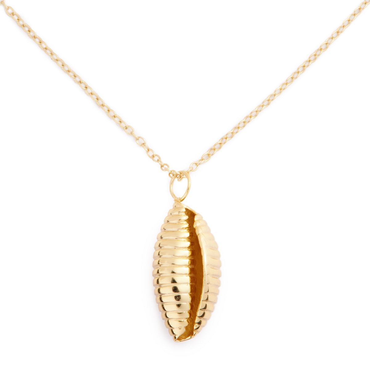 Pasta Shell Necklace