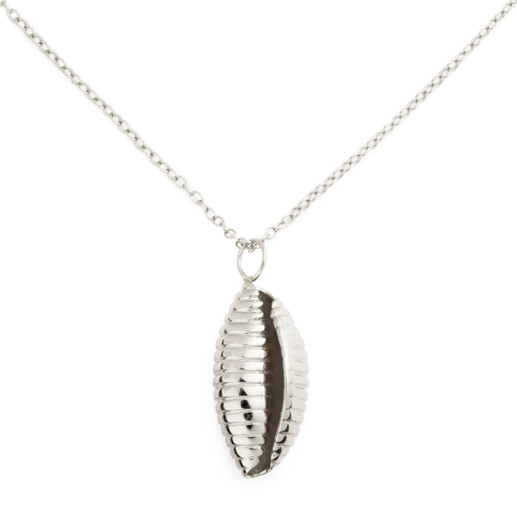 Pasta Shell Necklace