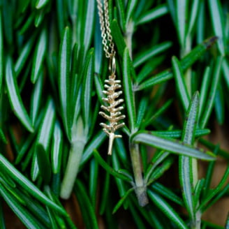 Rosemary Necklace